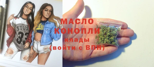 мяу мяу мука Гусь-Хрустальный