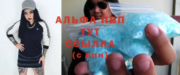 амф Гусиноозёрск