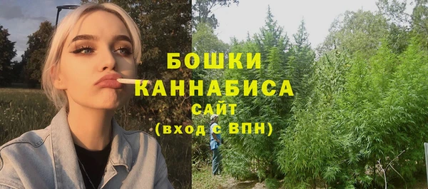 соль ск Волосово