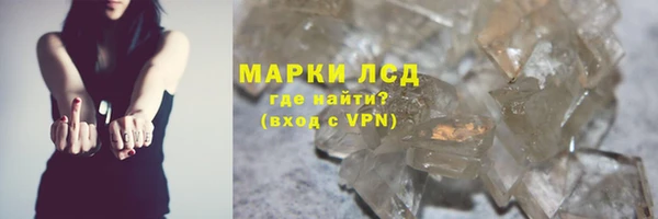 твердый Вяземский