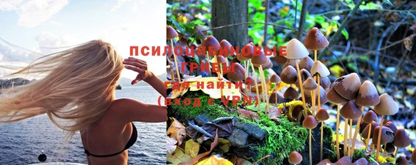 спайс Горняк