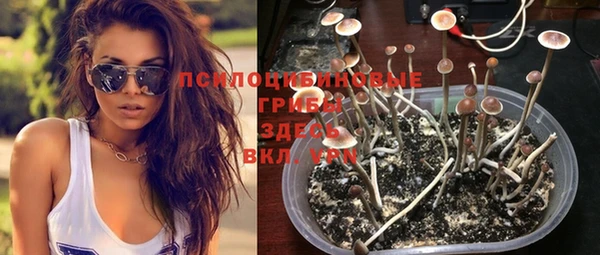бошки Нефтегорск