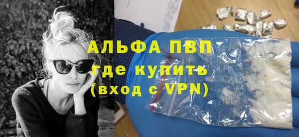 твердый Вяземский