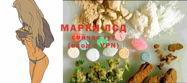 дживик Вязьма
