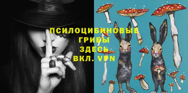 Альфа ПВП Володарск