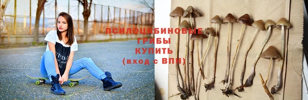 спайс Горняк