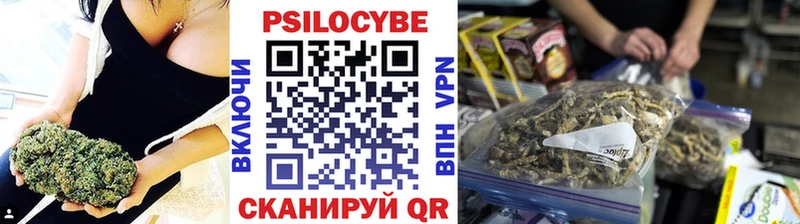 Псилоцибиновые грибы мицелий  mega вход  Елизово 