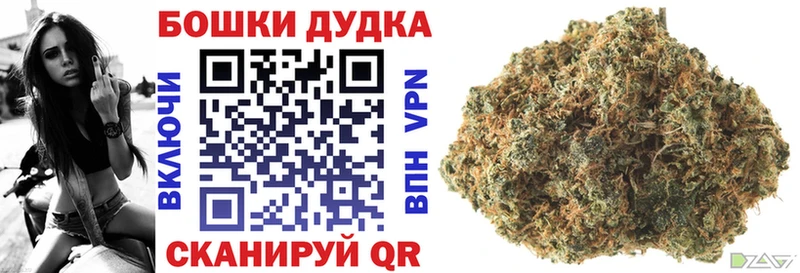 Бошки Шишки семена  KRAKEN ССЫЛКА  Елизово 